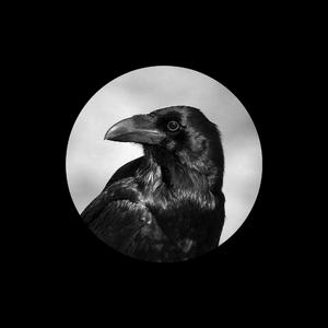 俄罗斯幼女裸乳视频网站免费观看
