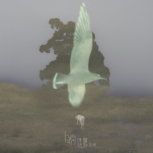 俄罗斯幼女裸乳视频网站免费观看
